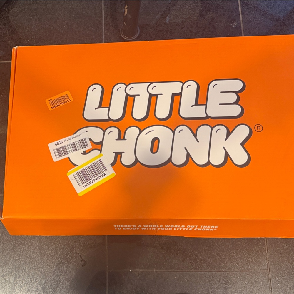 Orange Pet Travel Carrier